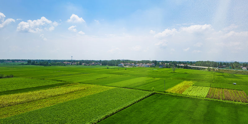 土壤養(yǎng)分檢測儀在農業(yè)生產中的作用